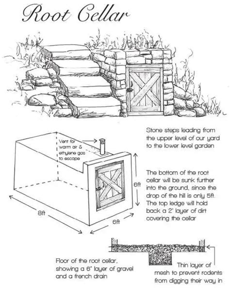 15 Free Root Cellar Plans DIY