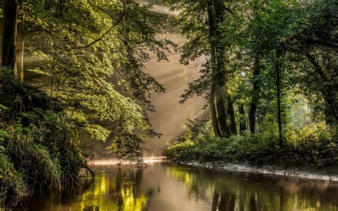 nature, river, forest, water, reflection, trees | 2500x1563 Wallpaper ...