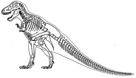 Skeleton T-Rex Coloring Page - Free Printable Coloring Pages for Kids