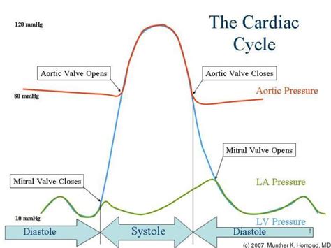 Diagram Of Cardiac Output