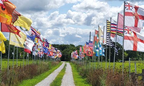 The Molzahn Collection of American Revolutionary War-Era Flags. - MrFlag