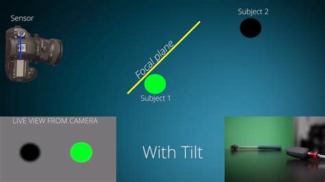 How Do Tilt-Shift Lenses Work? Tips For Miniature Effect, Portraiture ...