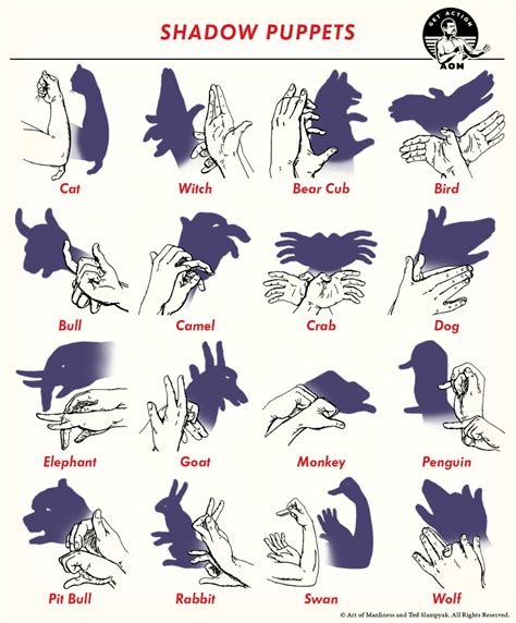 How to Make 16 Shadow Puppets | Hand shadows, Shadow puppets with hands ...