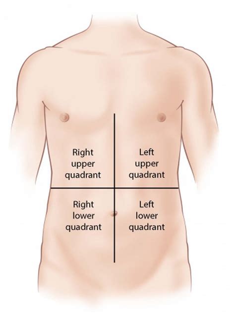 How To Read Fetal Ultrasound Reports