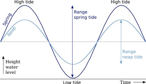 Neap Tide Diagram