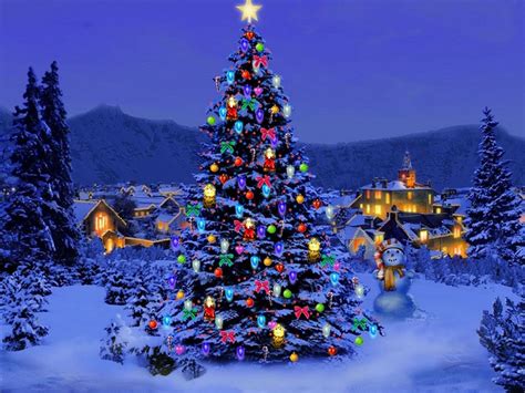 wallpapers: Christmas Trees Wallpapers