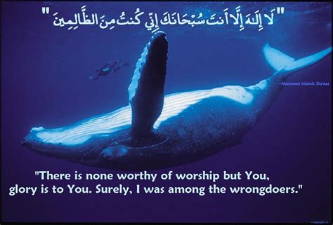 Du’aa made by Prophet Yunus (Alyhissalam) in the belly of the whale ...