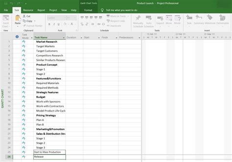 How to Make a Gantt Chart in Microsoft Project