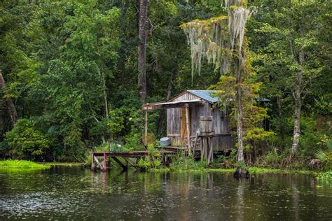 Best New Orleans Swamp Tours - Bayou Swamp Tours