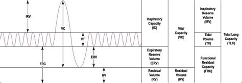 How to read a Spirometer - spirometry normal values