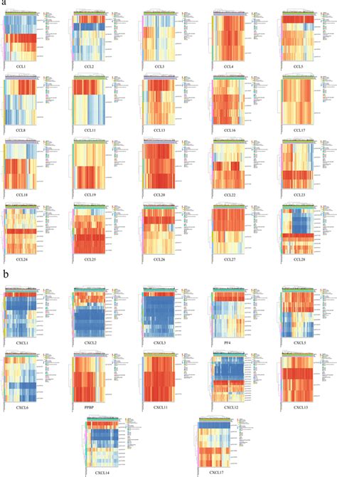 The heatmap of the CpG methylation levels of CC (a) and CXC (b ...