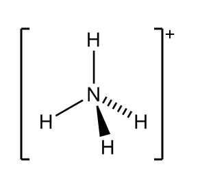 Provide the following information for NH4+. a. electron geometry b ...