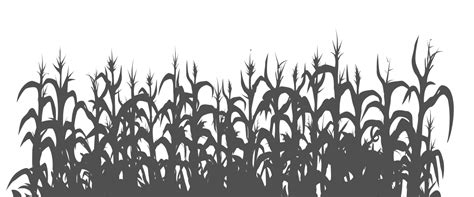 Cornfield Silhouette