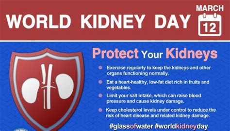 50 Best World kidney Day Quotes With Images 2022 - Quotes Yard