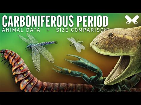 Carboniferous Period Animals