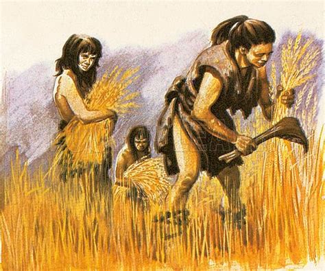 Human History In Brief - from THEN till NOW: First Harvest Ancient ...