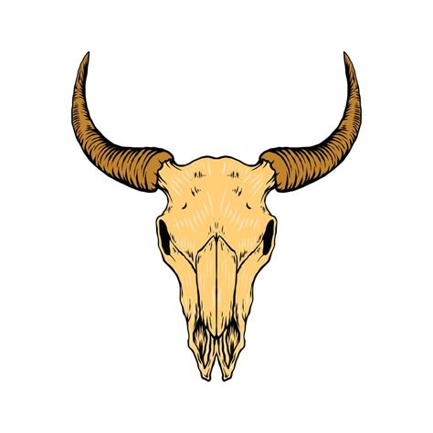 Bull skull vector illustration 15295561 Vector Art at Vecteezy