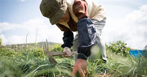 Lessons from Okinawa: The Blue Zones Diet | Forks Over Knives