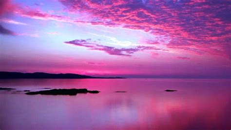 Bộ sưu tập độc đáo Sunset background pink làm say đắm con tim bạn