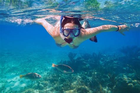 Tips for snorkeling in Cancun - Aquaworld