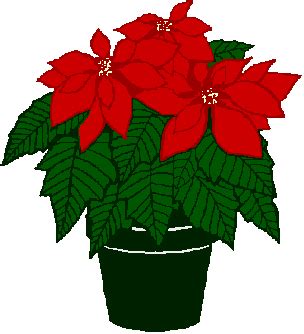 Christmas Poinsettia Clipart - ClipArt Best