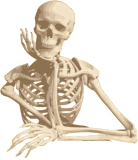 Skeleton,smiling,sitting,cartoon,isolated - free image from needpix.com