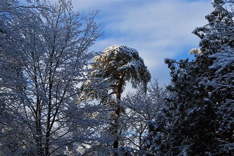 Adirondack Photograph by Dennis Spittler - Fine Art America