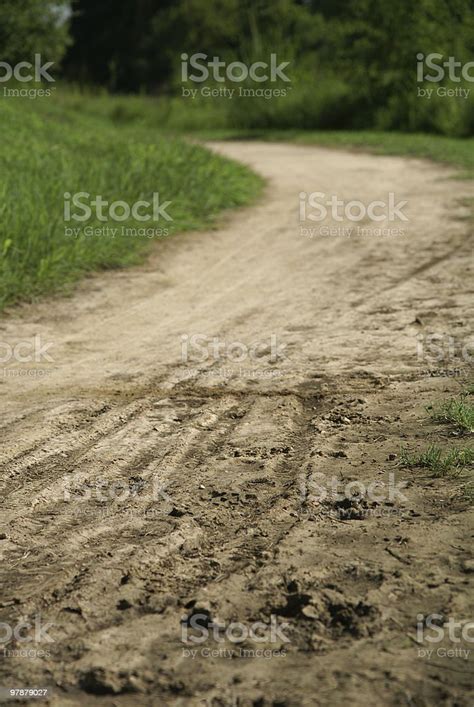 Tracks In The Mud Stock Photo - Download Image Now - Bicycle, Color ...