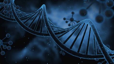 Free download dna background The Human Longevity Project [1600x900] for ...