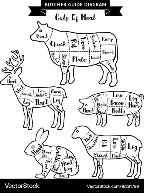 Butcher guide cuts of meat diagram Royalty Free Vector Image