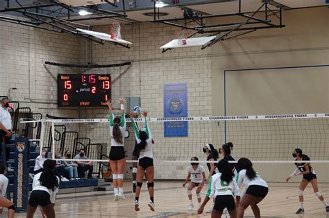 Rockland Community College Lady Hawks Volleyball Team Nabs Historic Win ...