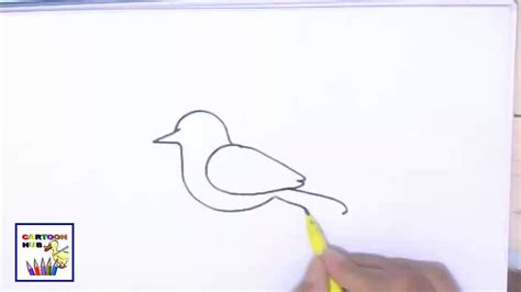 how to draw a bird easy video - Iliana Lancaster