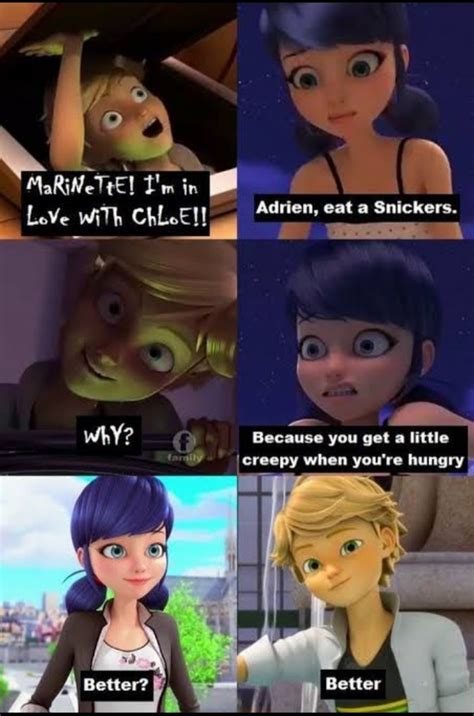 some miraculous memes | Fandom