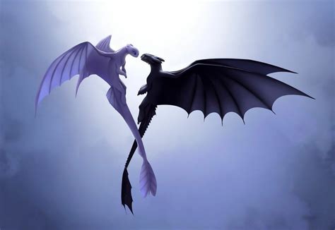 Toothless and light fury - lightningzik