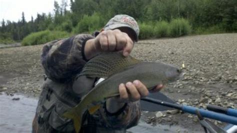 Fishing on the Chena River - Wilderness Enterprises, Fairbanks ...