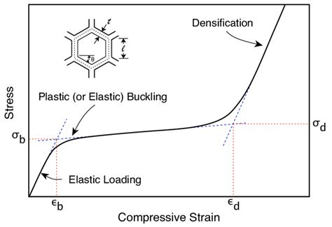 Schematic view of a transverse compression stress-strain curve for ...