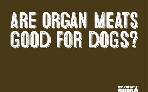 Are Organ Meats Good For Dogs? - My First Shiba Inu