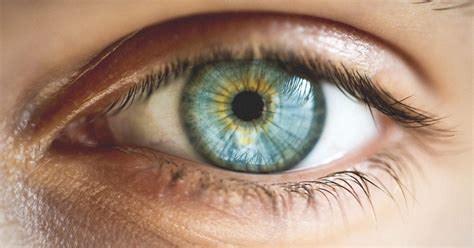 Central Heterochromia: Definition, Causes, and Types