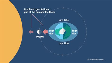 The Moon Causes Tides on Earth