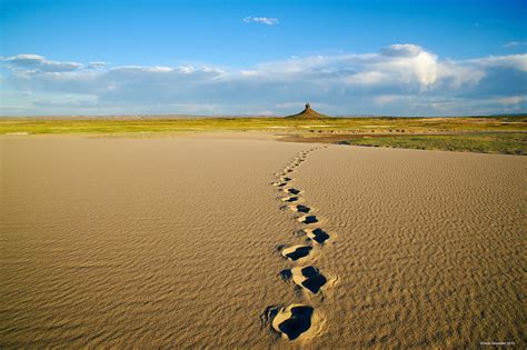 Boar's Tusk Tracks | Killpecker Sand Dunes WSA, Wyoming | Dave ...