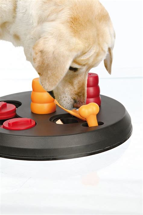 Best Dog Puzzle Toys - The Top Choices Reviewed