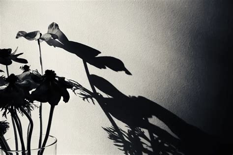 7 Artists on Using Strong Shadows in Photography