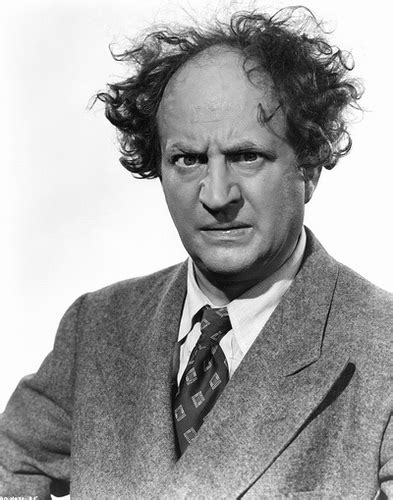 Larry Fine - Three Stooges Photo (23436866) - Fanpop