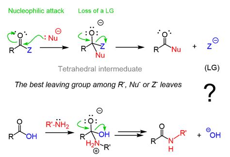 Aggregate 74+ anime acids - awesomeenglish.edu.vn