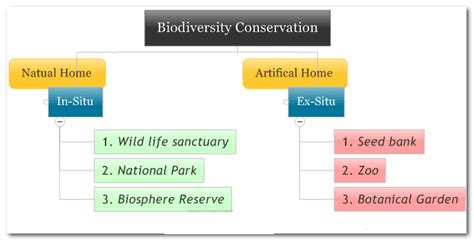 Biodiversity Conservation - Importance and Conservation Methods