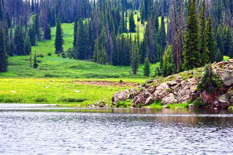 9 Best Campgrounds in Steamboat Springs, CO | PlanetWare