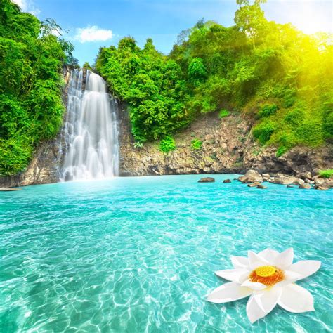 Most Beautiful Waterfalls With Flowers