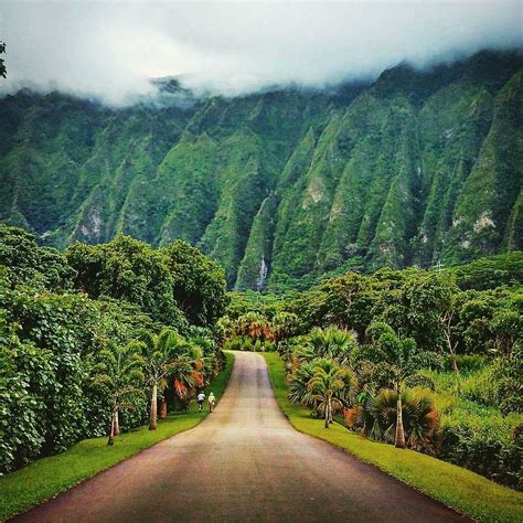 7 Photos Hoomaluhia Botanical Gardens Kaneohe Hawaii And View - Alqu Blog