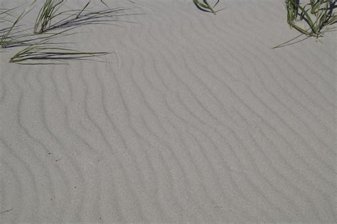 Sketch Sand Texture Drawing - Feketerdo