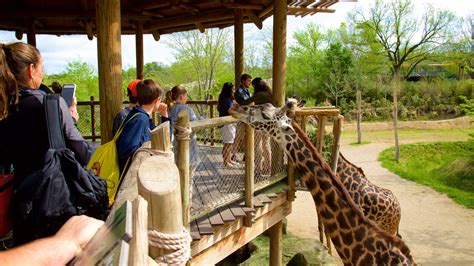 Cincinnati Zoo and Botanical Garden, Cincinnati location de vacances à ...